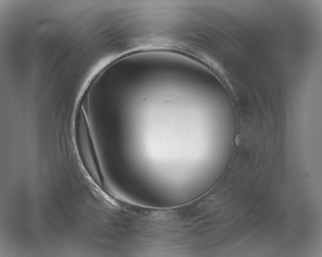 X0000060221480200510281055
