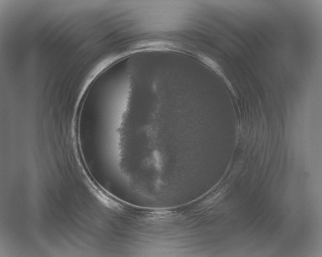 X0000060221482200510281055