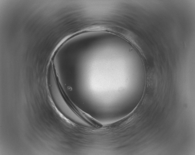 X0000060221484200510281055