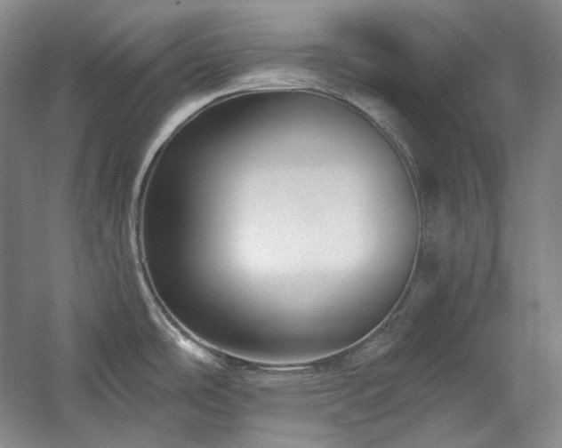 X0000060221486200510281055