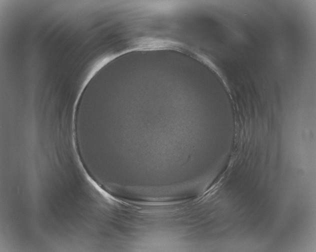 X0000060221487200510281055