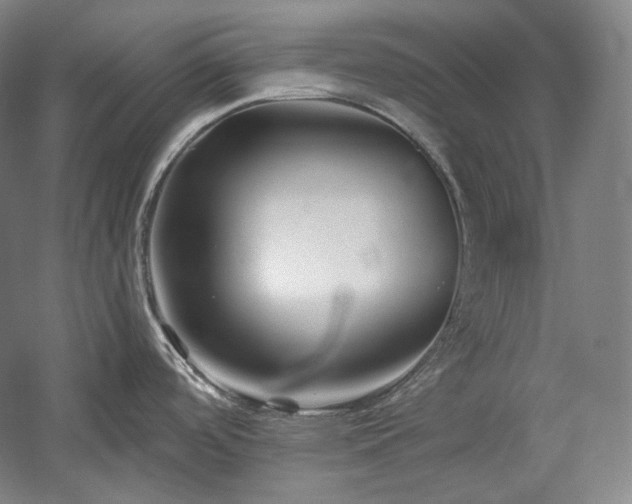 X0000060221488200510281055