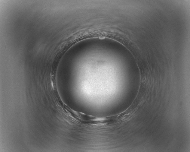 X0000060221490200510281054