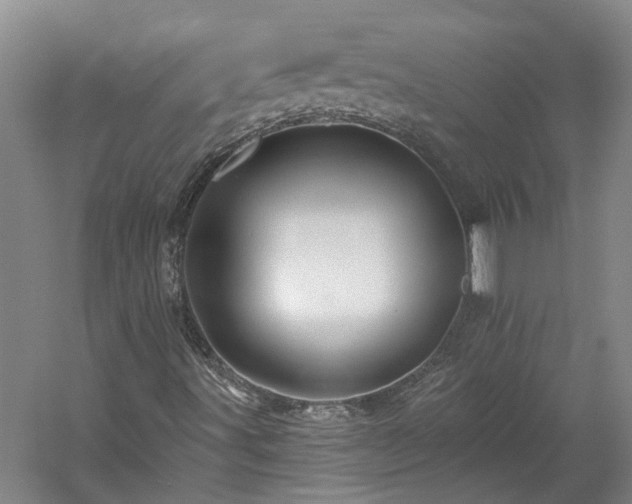 X0000060221491200510281054