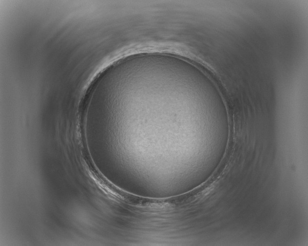 X0000060221498200510281054