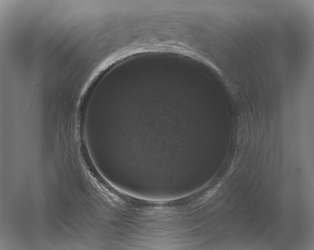 X0000060221506200510281054