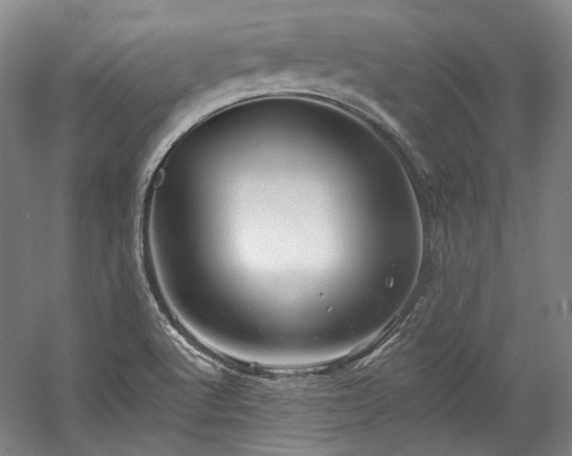 X0000060221512200510281054
