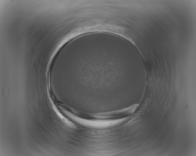 X0000060221515200510281054