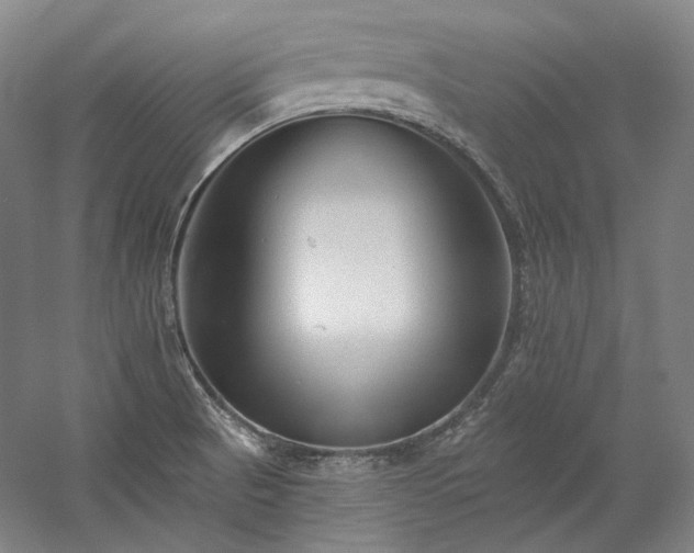 X0000060221521200510281054