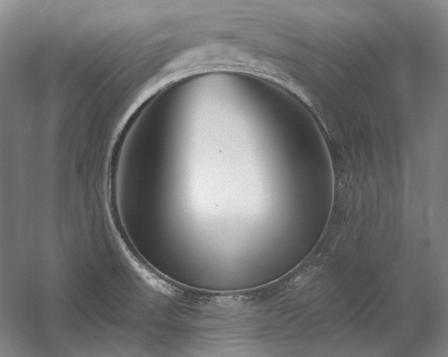 X0000060221523200510281054