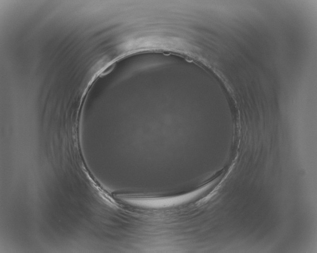 X0000060221529200510281054
