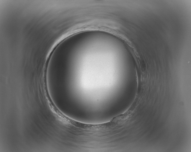 X0000060221530200510281055