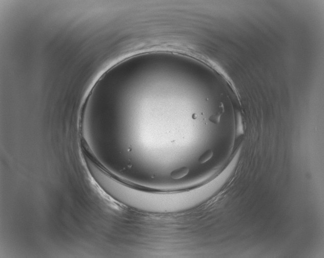 X0000060221532200510281055