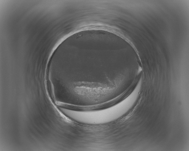 X0000060221533200510281055