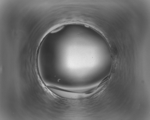 X0000060221534200510281055