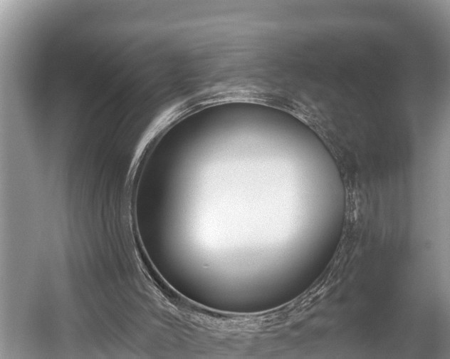 X0000060220004200510311533