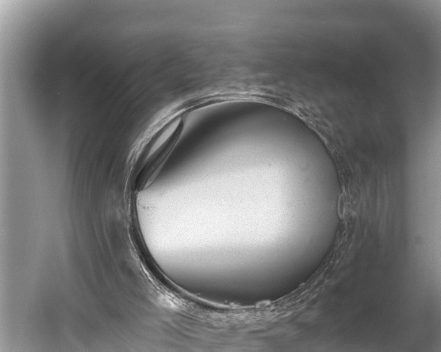 X0000060220005200510311533