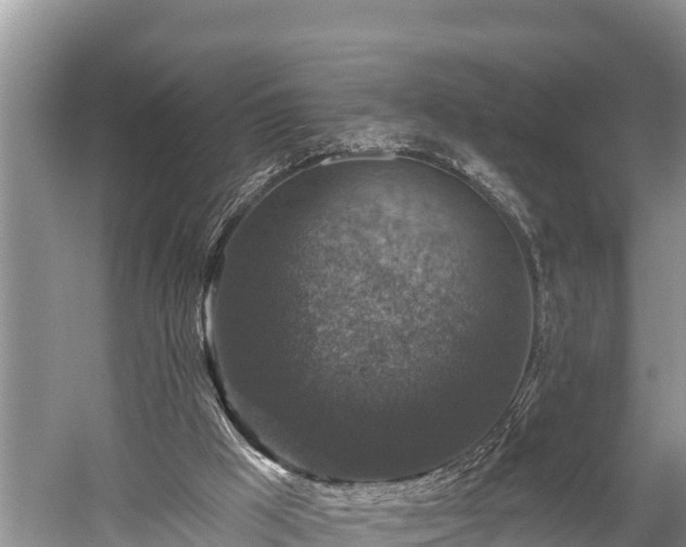 X0000060220009200510311533