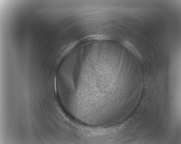 X0000060220014200510311533