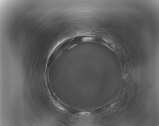 X0000060220052200510311532