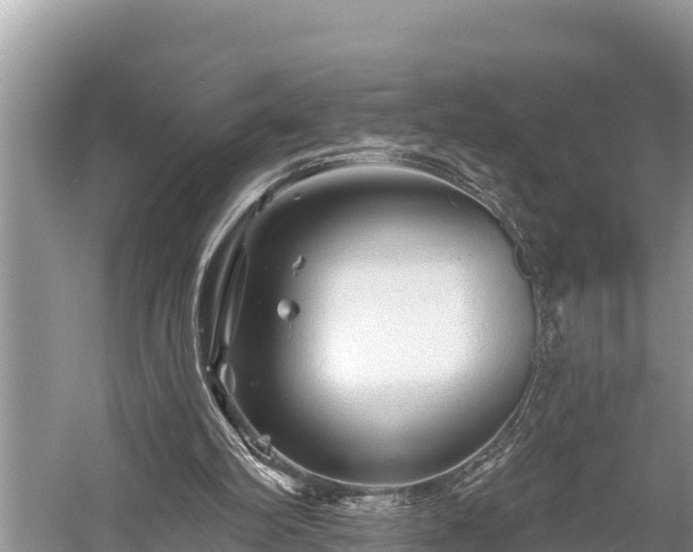 X0000060220102200510311532