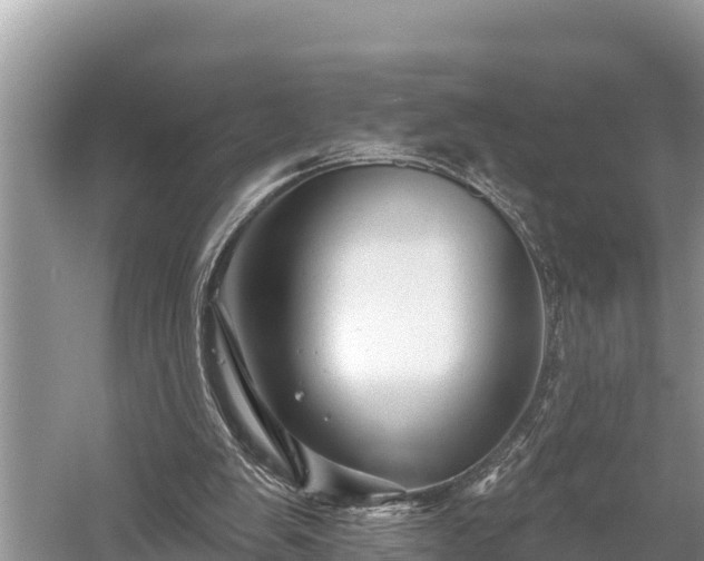 X0000060220103200510311532