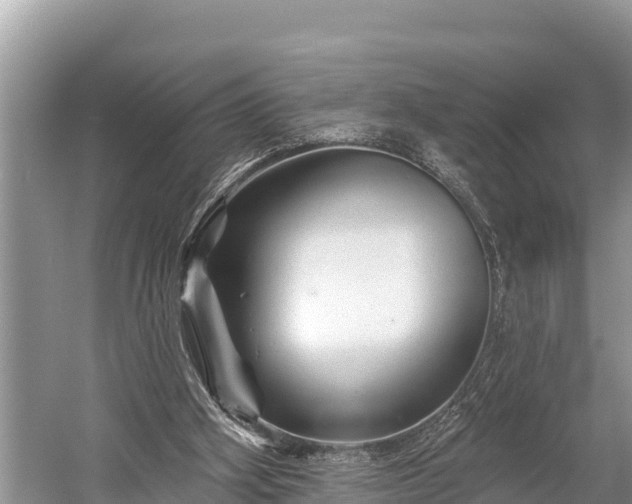 X0000060220106200510311532