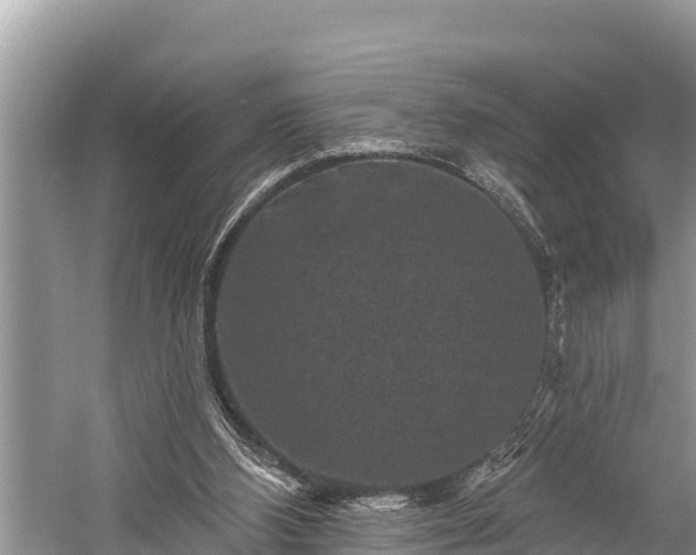 X0000060220108200510311532