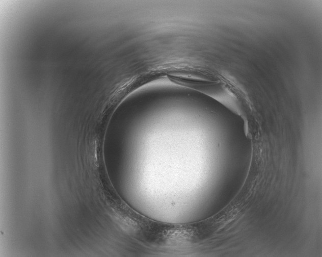X0000060220115200510311531