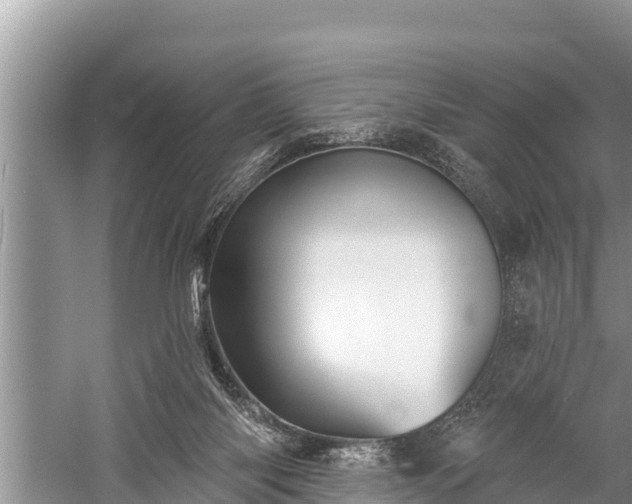 X0000060220118200510311531