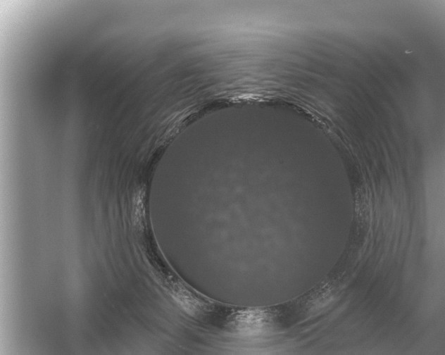 X0000060220127200510311531