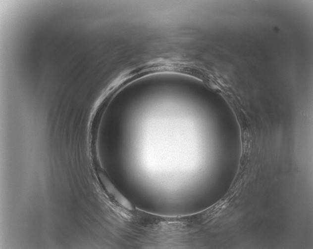 X0000060220150200510311530