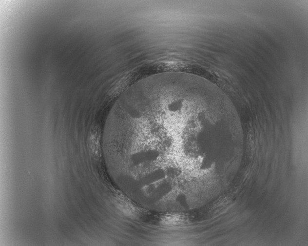 X0000060220177200510311531