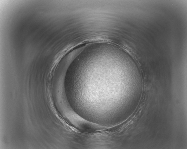X0000060220193200510311530