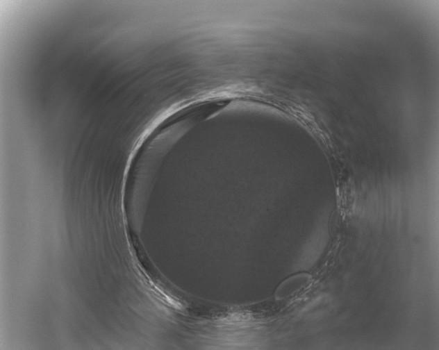 X0000060220196200510311530
