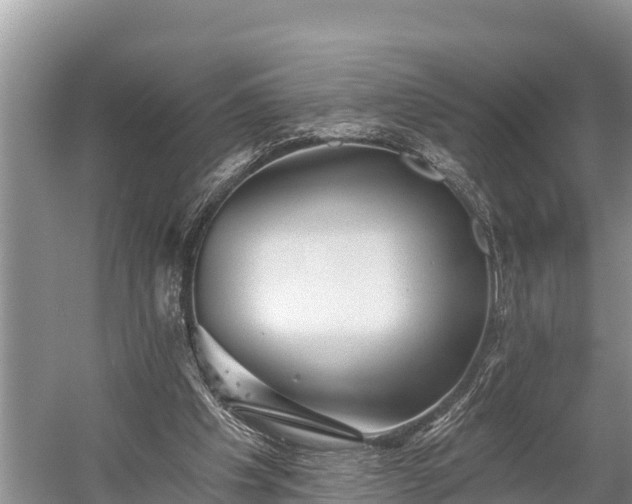 X0000060220201200510311530
