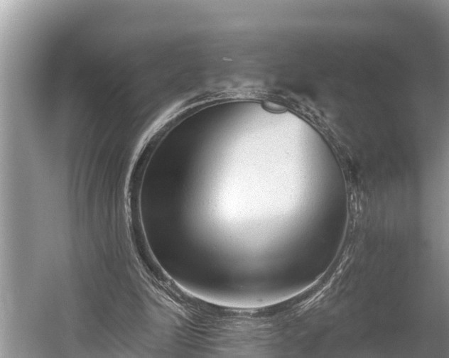 X0000060220246200510311529