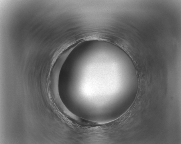 X0000060220289200510311529