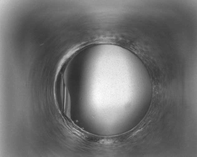 X0000060220294200510311528