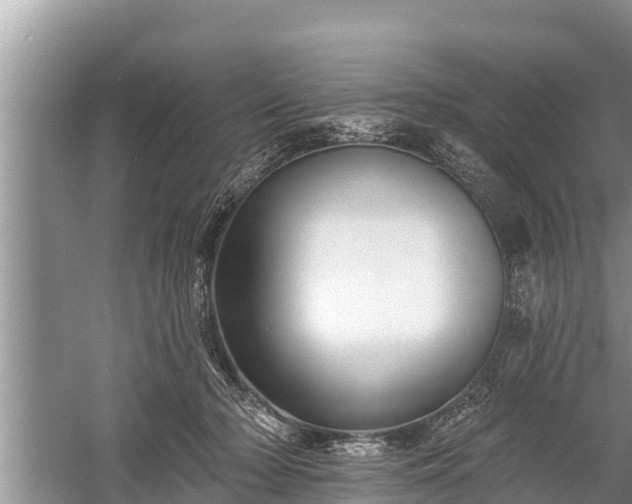 X0000060220318200510311528