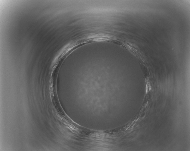 X0000060220339200510311527