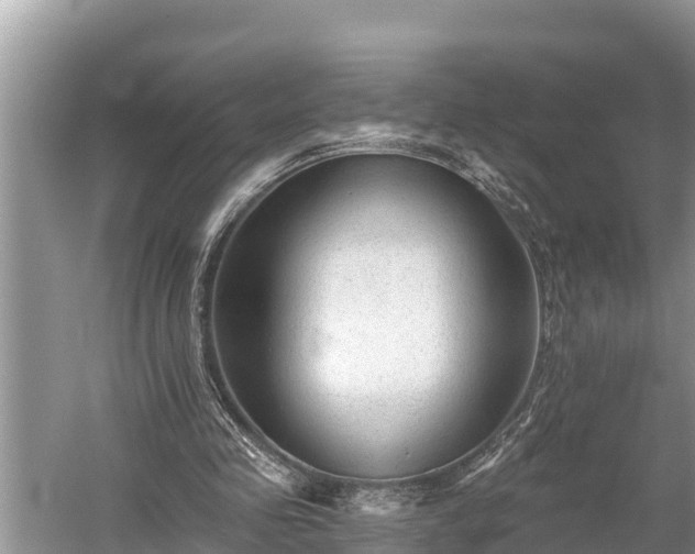 X0000060220341200510311527