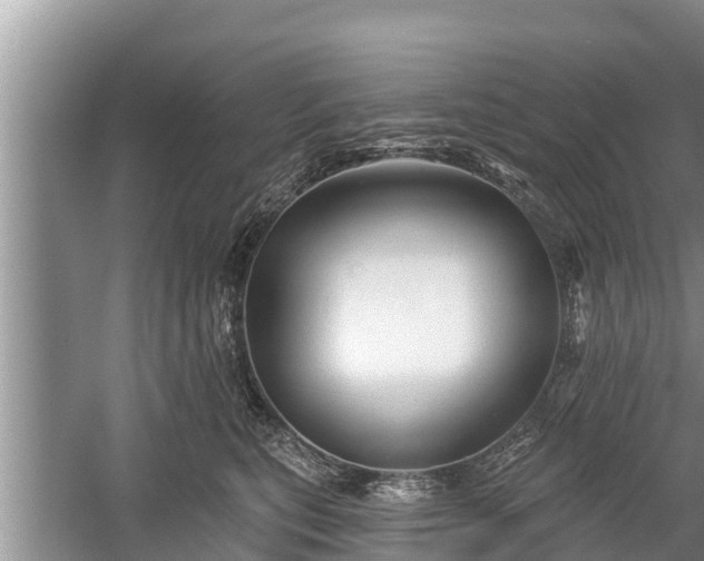 X0000060220567200510311524