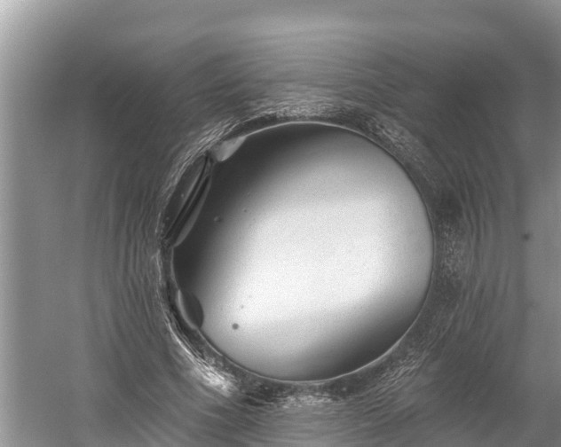 X0000060220586200510311523
