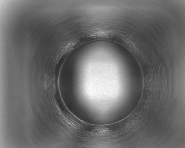 X0000060220642200510311522