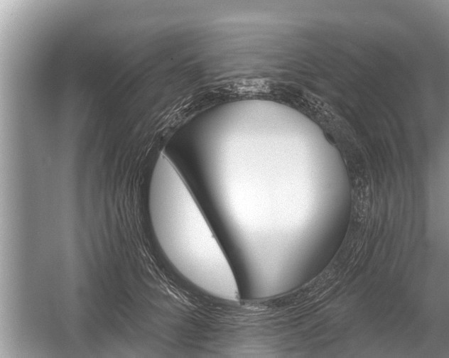X0000060220704200510311521