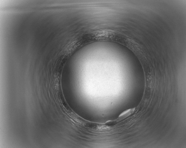 X0000060220753200510311521