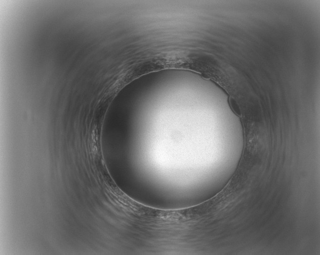 X0000060220866200510311519