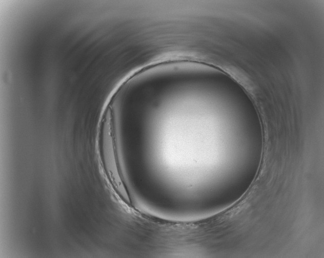 X0000060220912200510311518