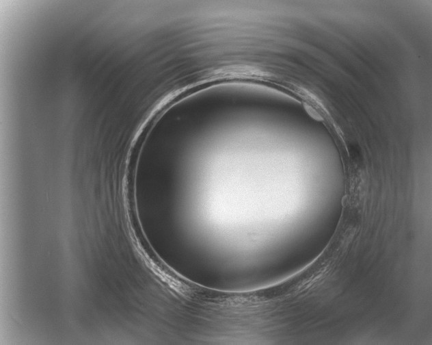 X0000060220947200510311518